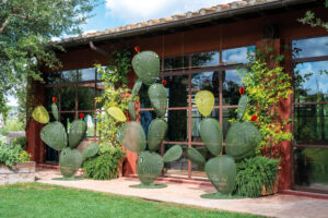 Ficus